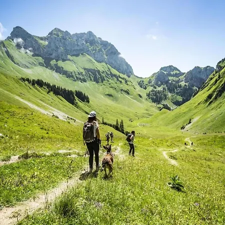 In With Valley Views * Châtel